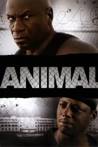 Animal