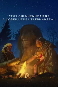 Ceux qui murmuraient à l’oreille de l’éléphanteau