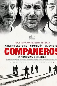 Compañeros