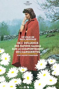 De l'influence des rayons gamma sur le comportement des marguerites