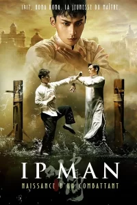 Ip Man : Naissance d'un combattant