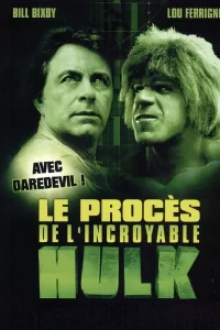 Le Procès de l'incroyable Hulk