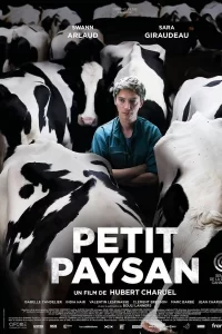 Petit Paysan