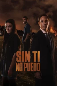 Sin ti no puedo