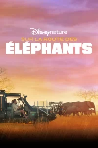 Sur la route des éléphants