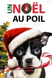 Un Noël au poil